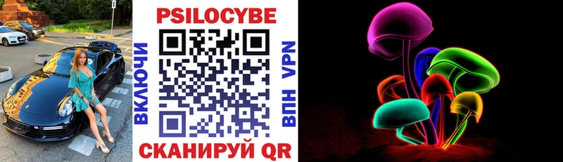 Купить  Шахунья  Псилоцибиновые грибы Magic Shrooms 